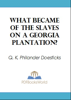 What Became of the Slaves on a Georgia Plantation?