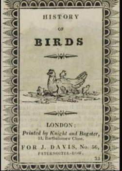 History of Birds
