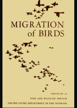 Migration of Birds (1950)
