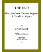 The End -  How the Great War Was Stopped. A Novelistic Vagary