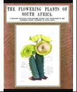 The Flowering Plants of South Africa (Vol. 3)
