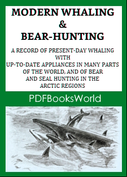 Modern Whaling and Bear-Hunting